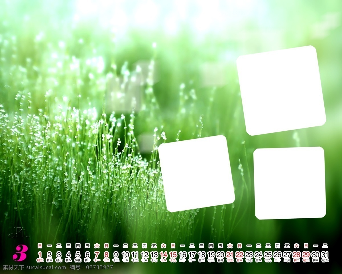 2009 年 日历 模板 台历 美好 时光 绿色 情怀 全套 共 张 含 封面 09日历模板 模板下载 psd源文件