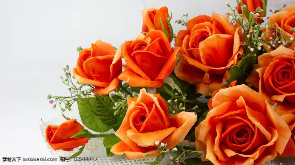 橙色玫瑰花束 电脑壁纸 玫瑰 黄色玫瑰花 高清玫瑰 水珠 墙纸 壁纸 底纹边框 背景底纹