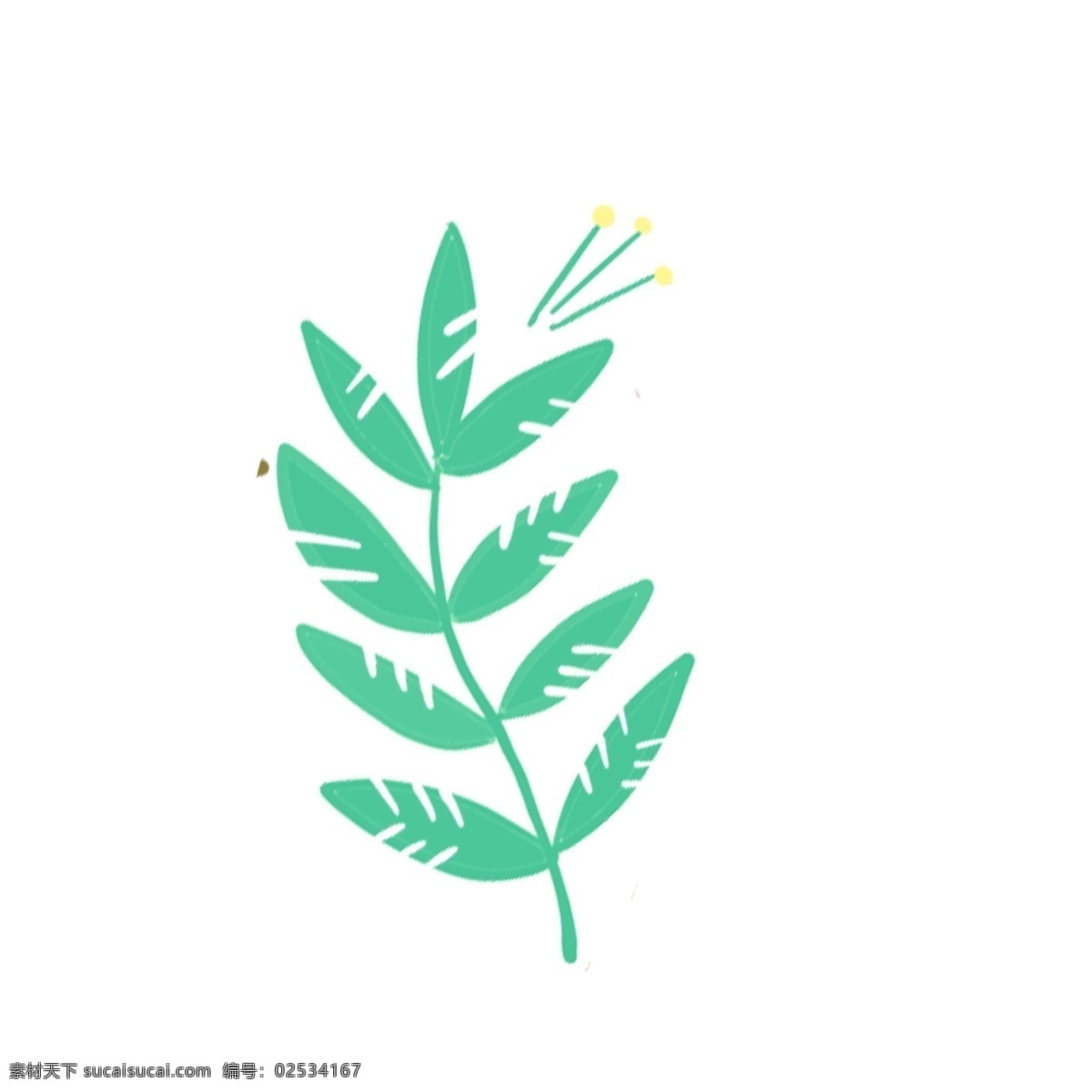 绿色 枝叶 免 抠 图 绿色叶子 植物 绿色植物 绿色生态 漂亮的植物 生态树叶子 草丛 叶子 免抠图