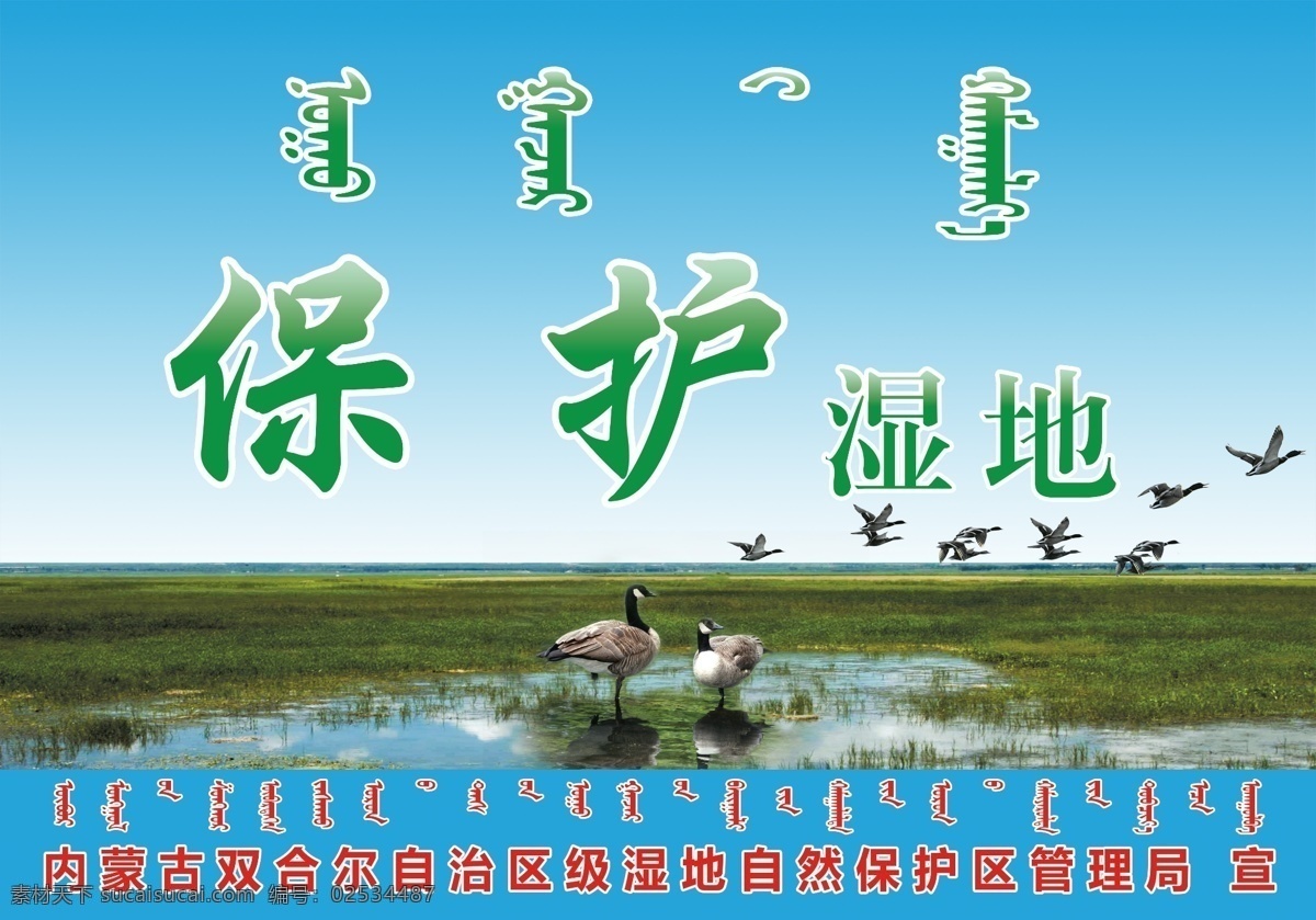 保护湿地 湿地 维护生态 生态安全 候鸟 湖 鸟 生态 环境 保护动物