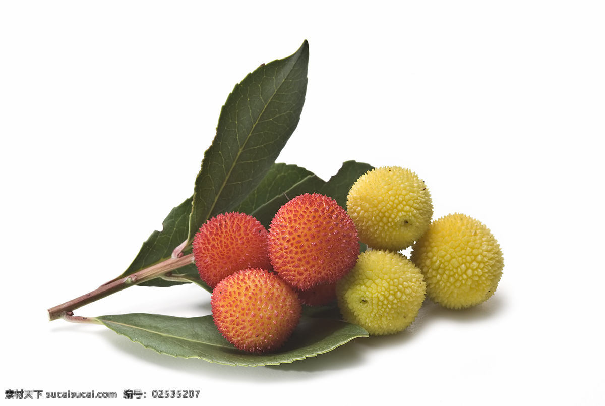 杨梅 特写 水果 新鲜水果 果实 叶子 摄影图 高清图片 蔬菜图片 餐饮美食