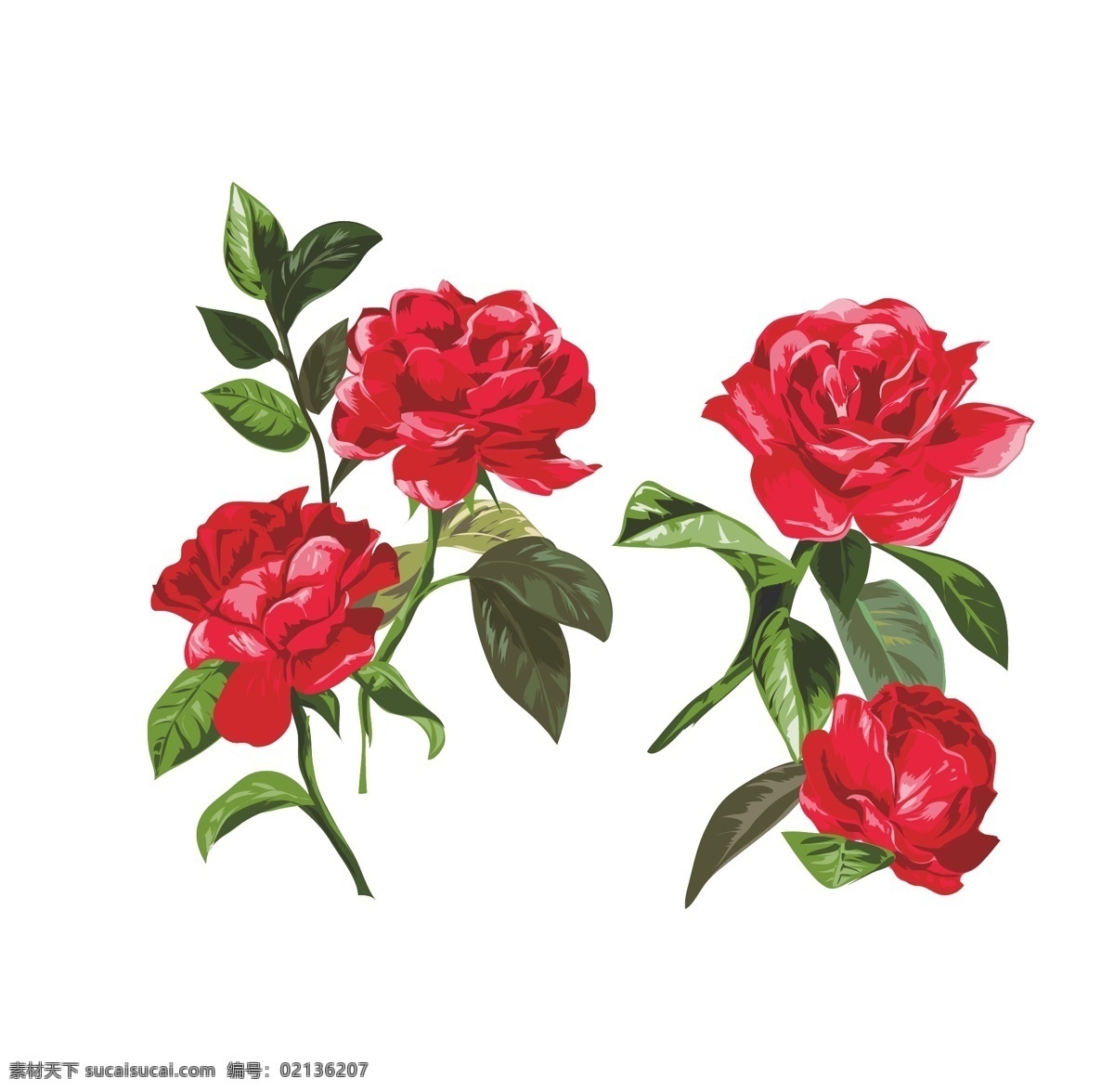 玫瑰花 矢量 手绘画 花朵 花枝 植物 生物世界 花草