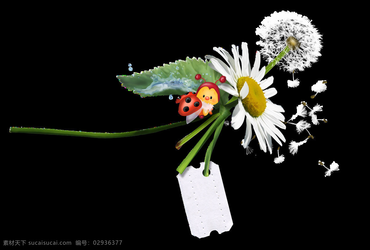 手绘 信封 底纹 透明 白色 小雏菊 昆虫 绿色 红色 透明素材 免扣素材