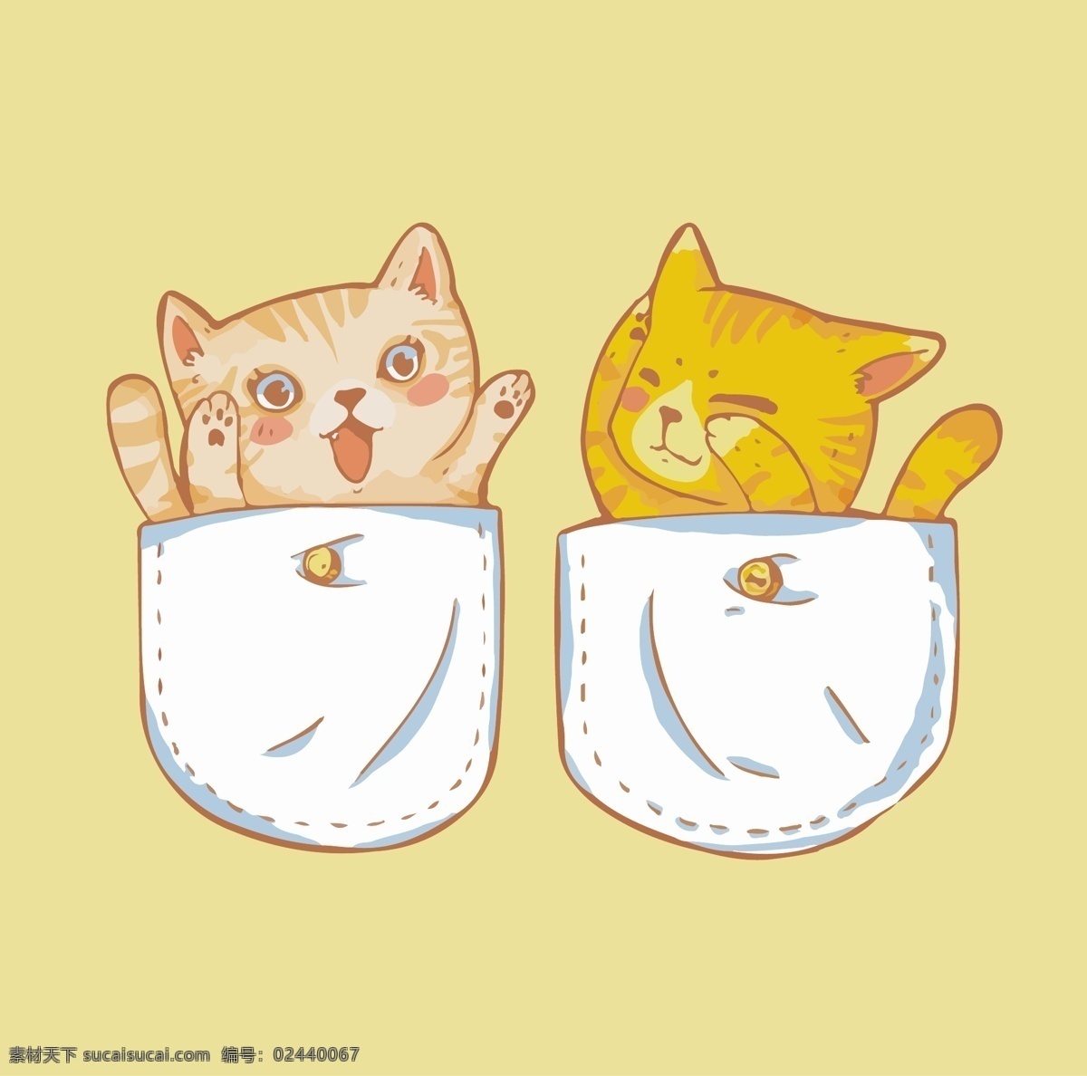 口袋 猫 猫咪 插画 漫画猫 口袋里的猫咪 小猫宝宝 可爱猫咪插画 卡通猫 卡通 卡通设计