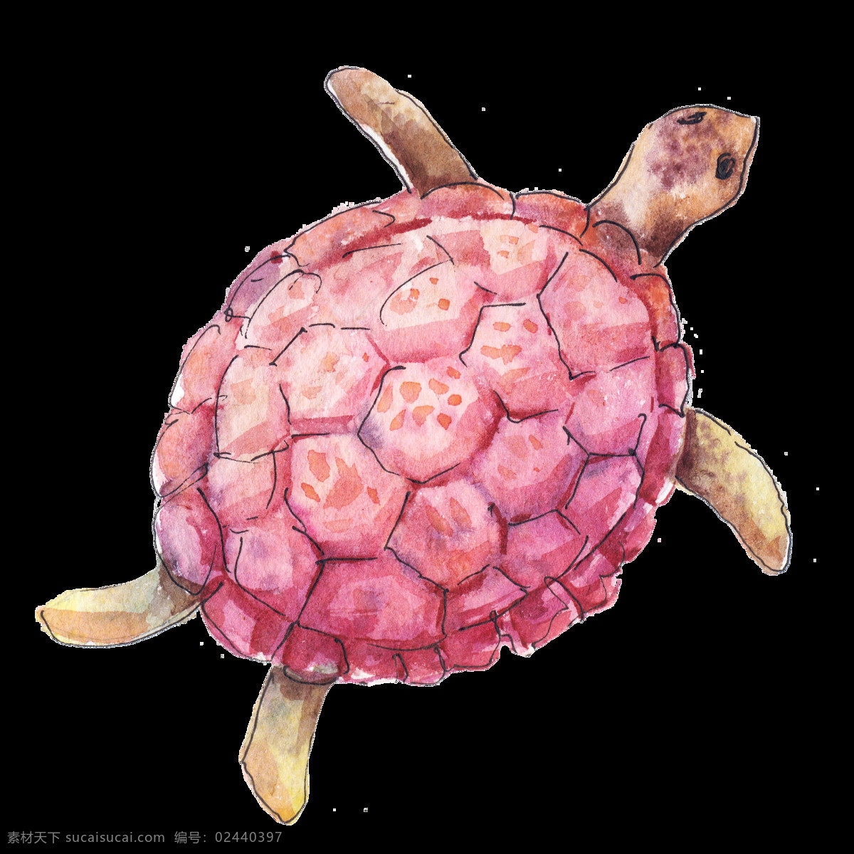手绘 只 海龟 透明 粉红色 海上生物 卡通 免扣素材 生物 透明素材 装饰图案