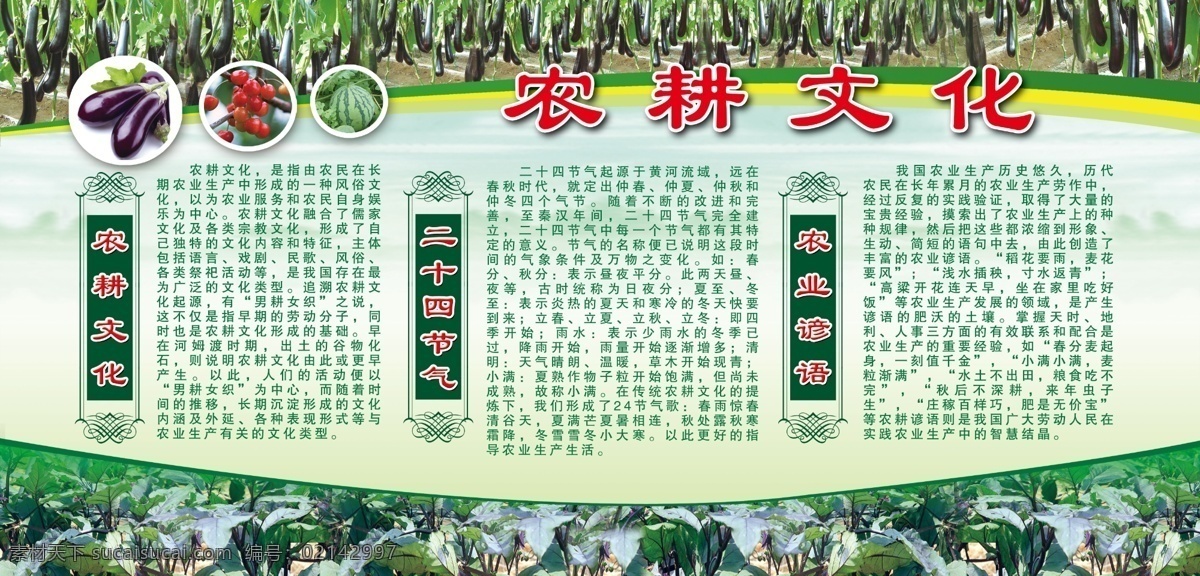 农耕文化 时节 农村 展板 植物 茄子 二十四节气 水果 蔬菜 展板模板 广告设计模板 源文件