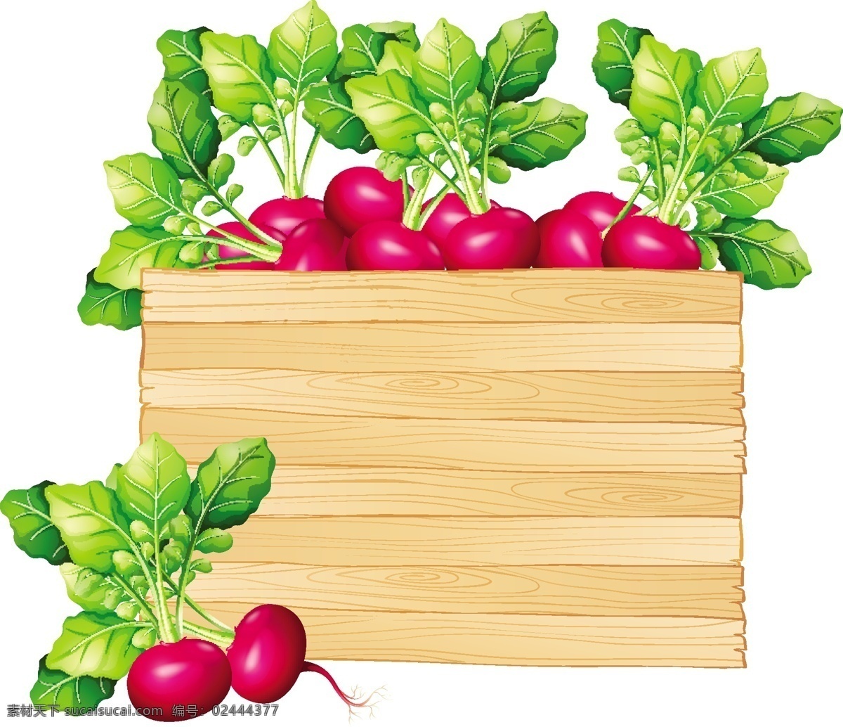 红萝卜 插图 木板 食品 模板 天然 红色 墙纸 艺术 板材 植物 绘画 木制 萝卜