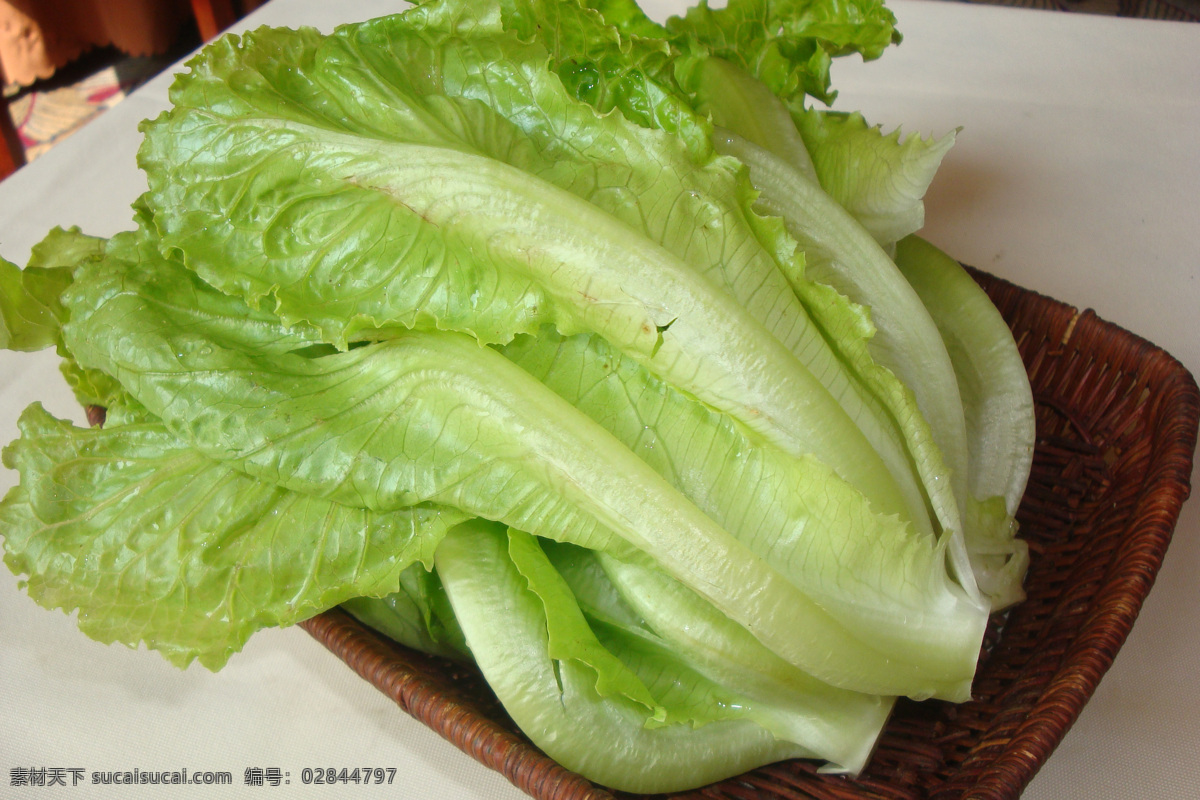 美食 生菜 青菜类 餐饮美食 传统美食 摄影图库