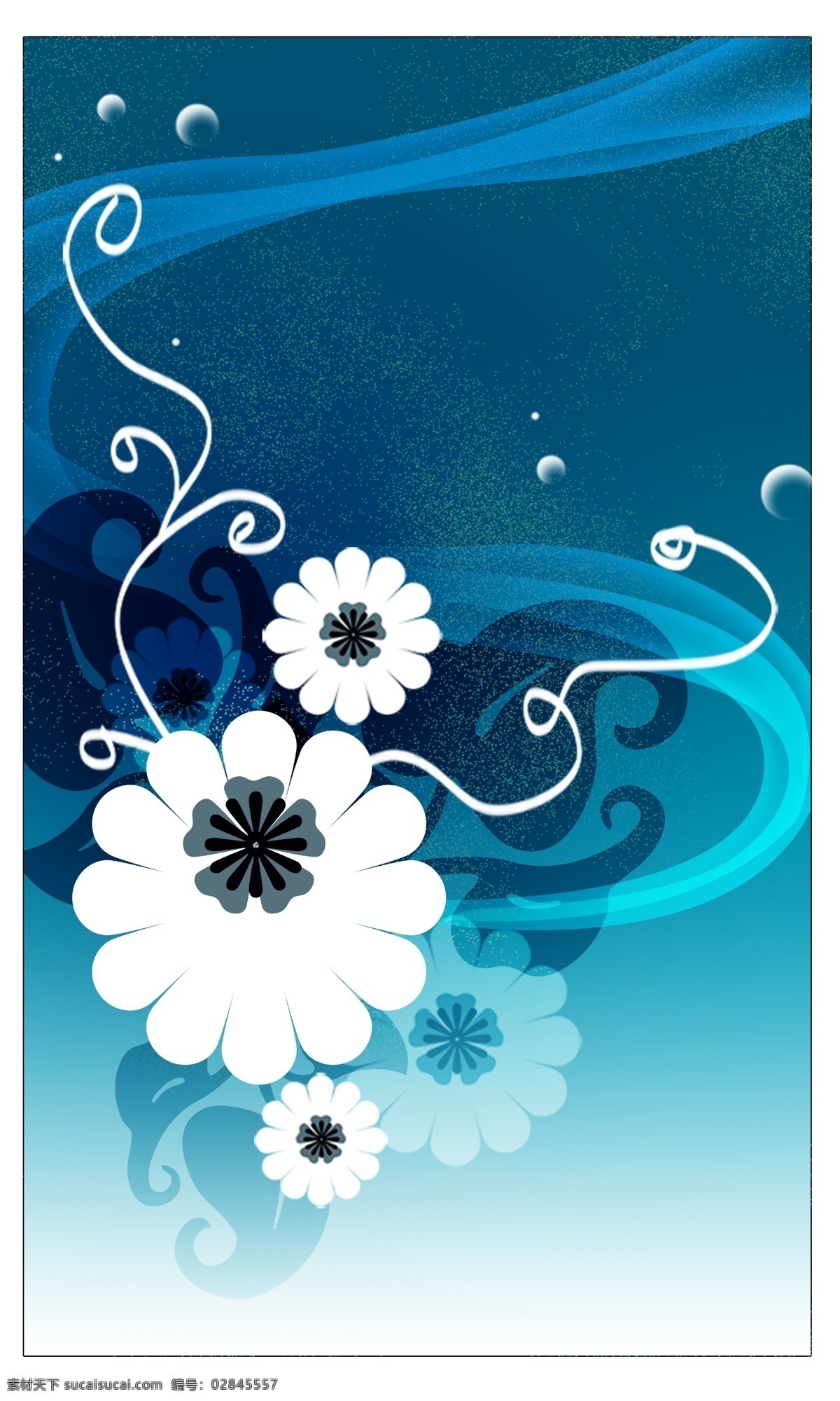 花纹 线条 模板 设计素材 简洁花纹线条 设计师 后期 psd源文件
