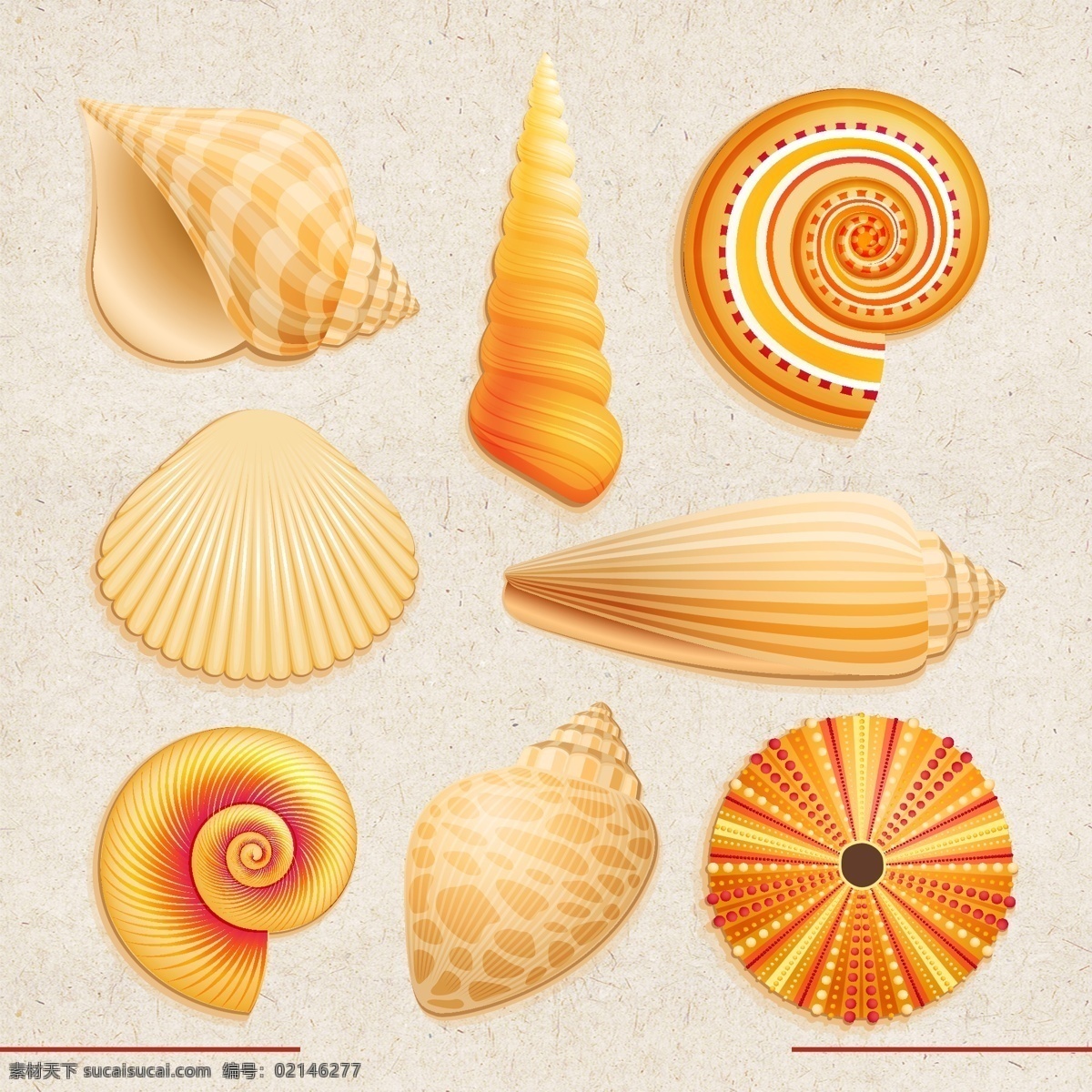 贝壳素材 海螺 海底贝壳 海底世界 海边 海洋素材