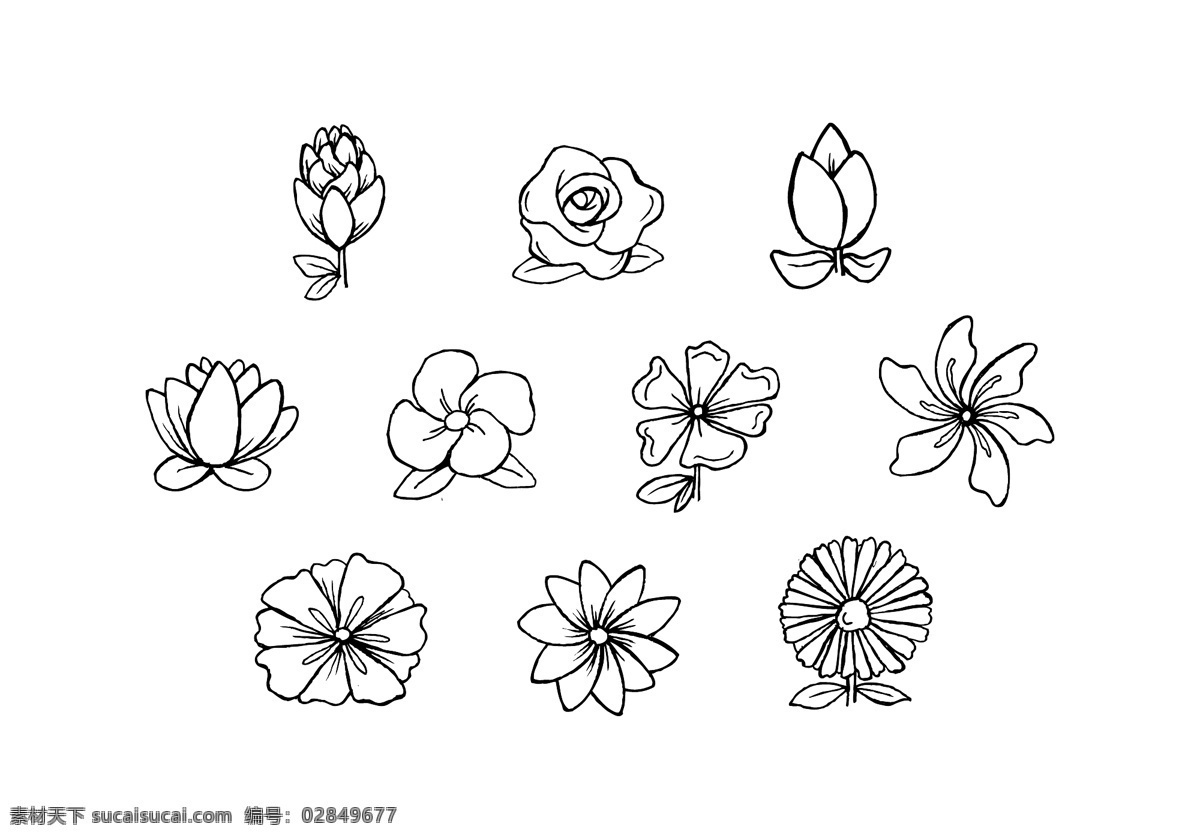 手绘 花朵 图案 手绘植物 植物 手绘花卉 矢量素材 花朵图案 手绘花朵