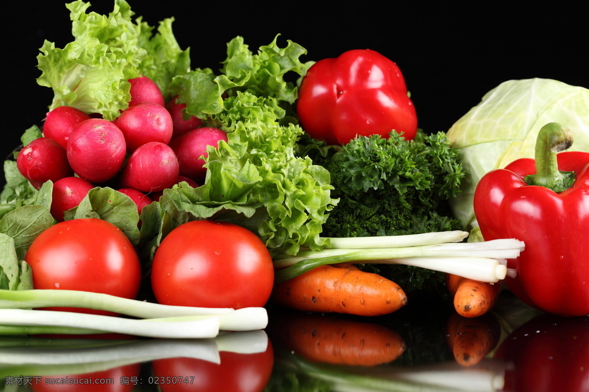 各种 蔬菜 食物 新鲜蔬菜 鲜艳 美味 可口 番茄 大葱 青菜 萝卜 辣椒 蔬菜图片 餐饮美食