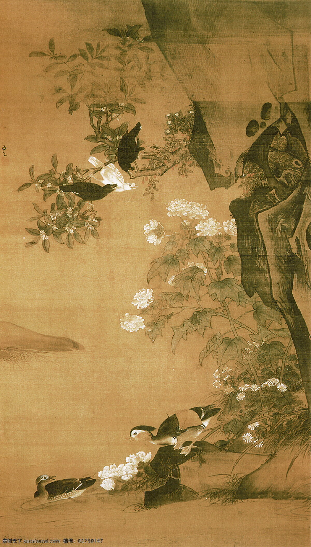 崖下花鸟图轴 明 吕纪 牡丹 菊花 鸳鸯 古画 古代绘画 国画 中国古画 书画 中国文化 国宝 山水画 诗画 中国古代绘画 绘画书法 文化艺术