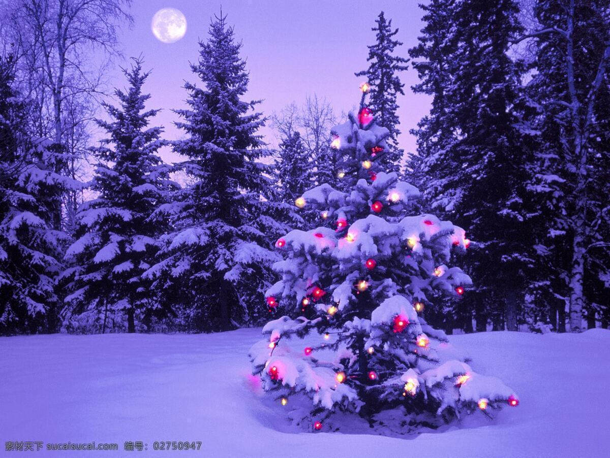 圣诞 夜 森林 圣诞树 月光 节日素材 其他节日
