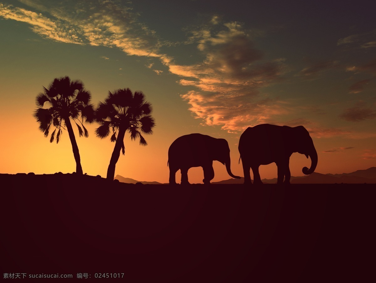 傍晚 时分 树木 大象 剪影 傍晚时分 大象剪影 云彩 美景 城市风光 环境家居
