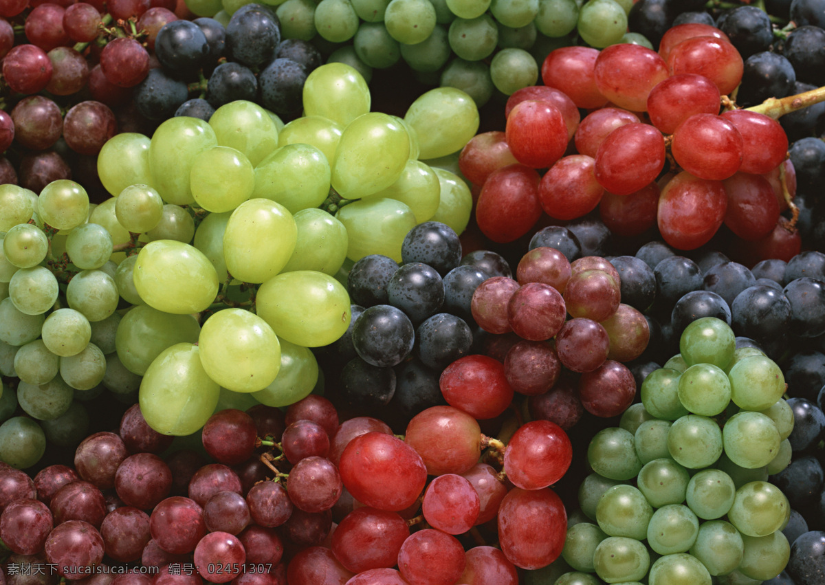 新鲜 葡萄 背景 提子 果实 果子 水果 新鲜水果 水果背景 水果图片 餐饮美食