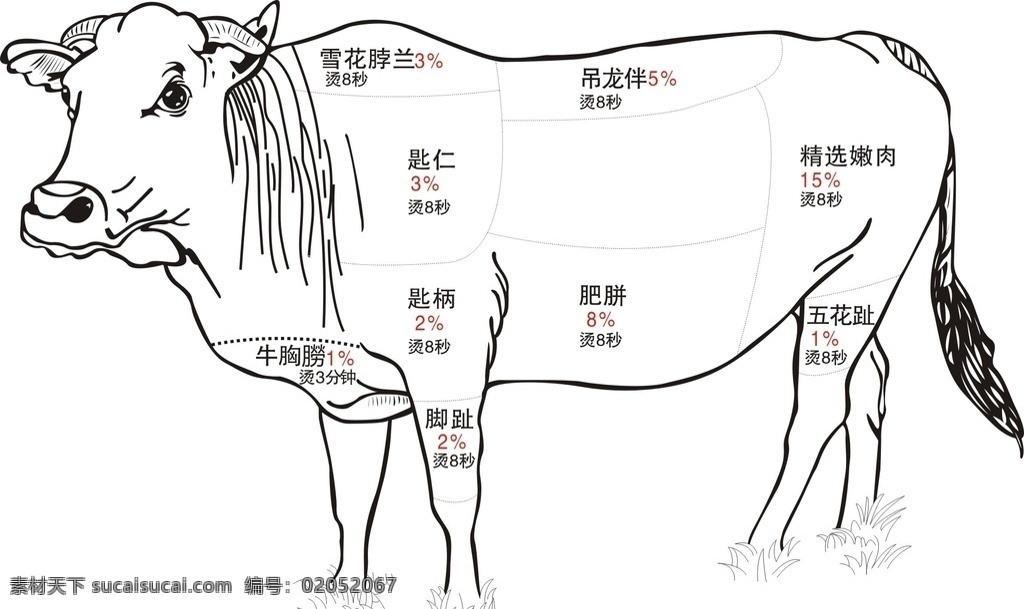 矢量 牛肉 部位 分割 图 矢量牛 牛肉分割图 牛肉解剖图 牛部位名称 小黄牛 生物世界 家禽家畜