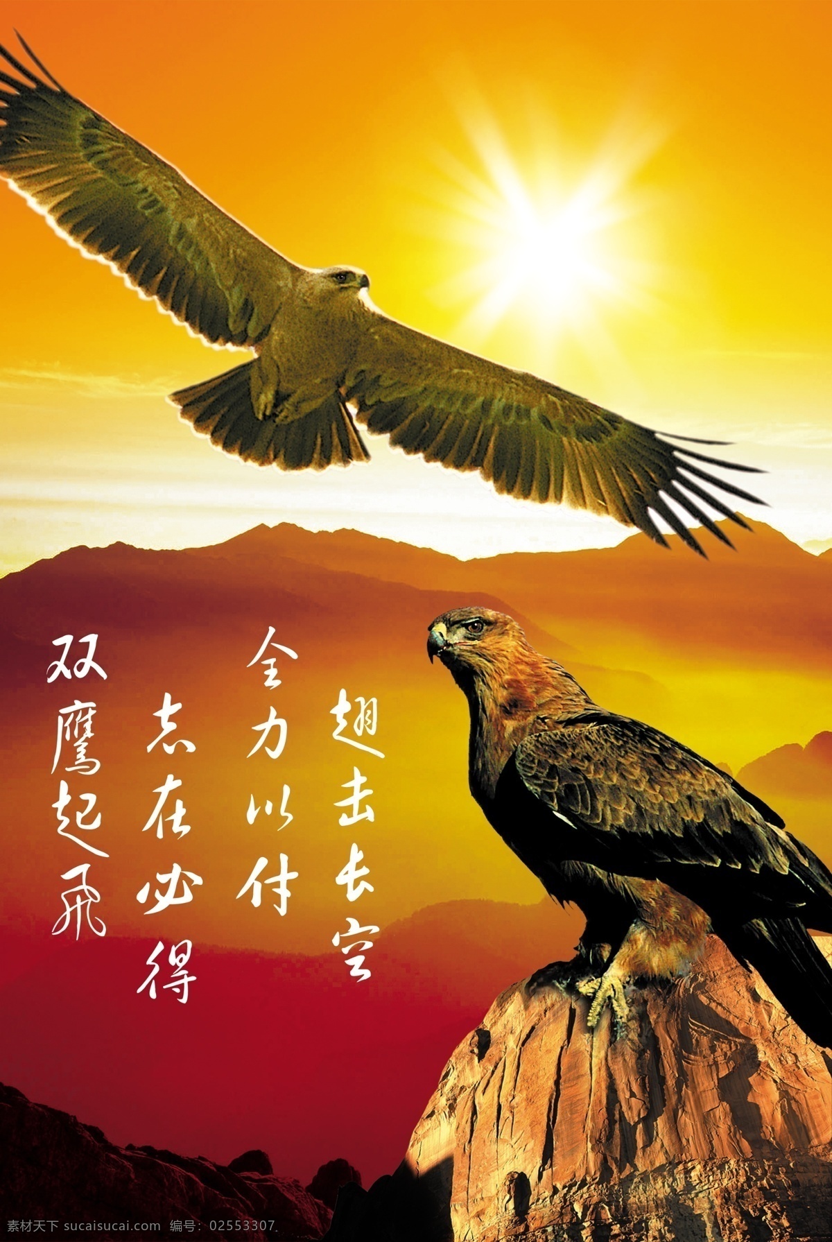 双赢 老鹰 山 橙色