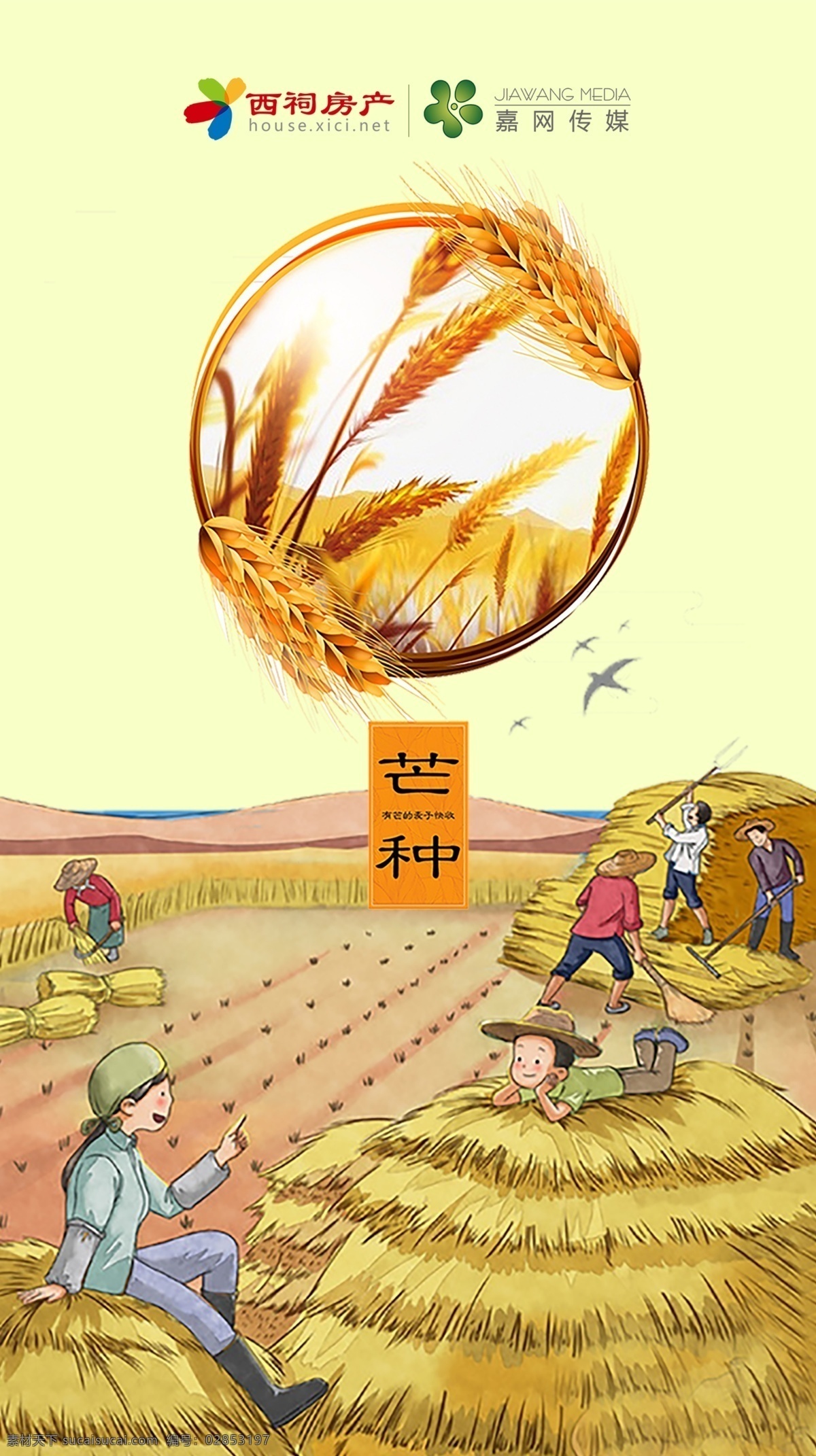 节气 芒种 清明 夏至 丰收 分层 风景