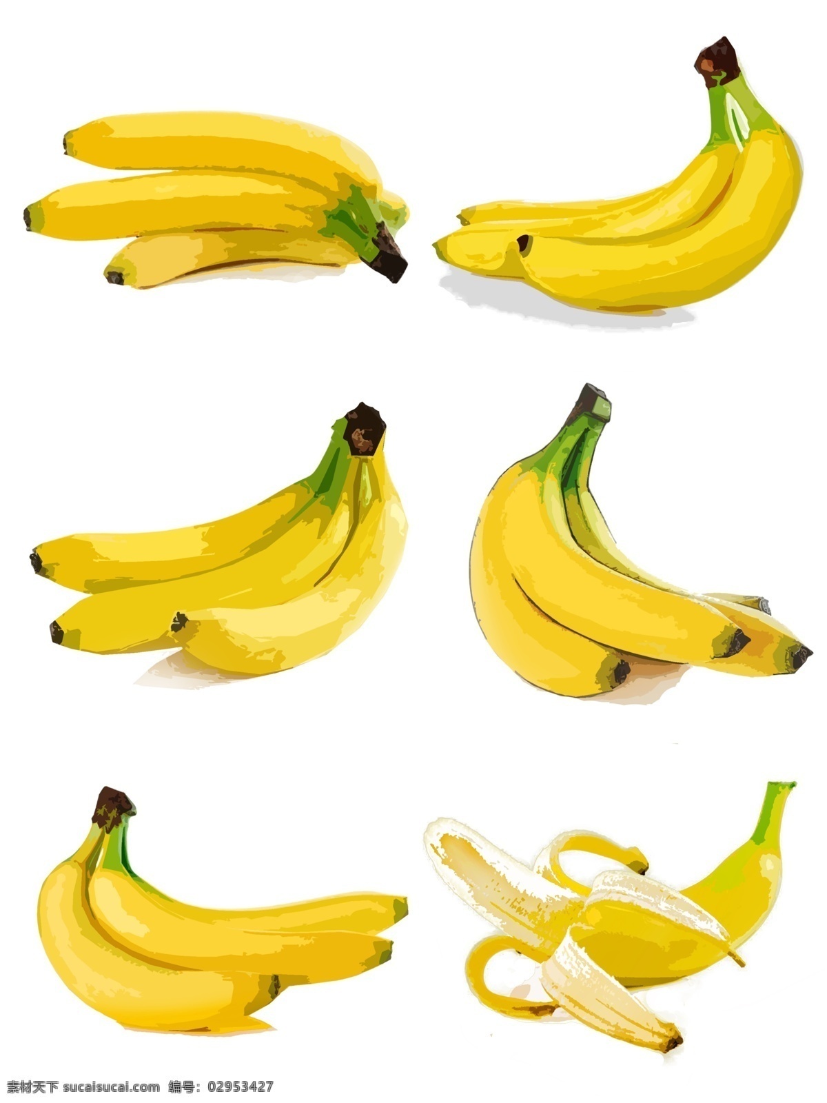 香蕉 水果 角度 手绘 合集 黄色 原创 一串香蕉 一根香蕉 不同