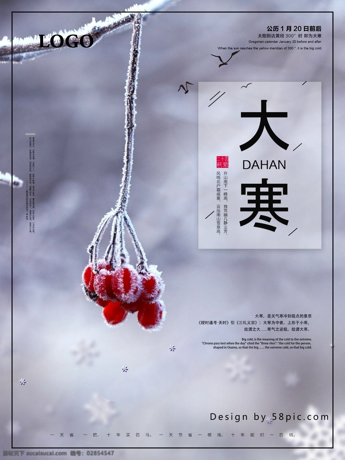 大寒 海报 节气 大寒海报 大气 唯美 雪花