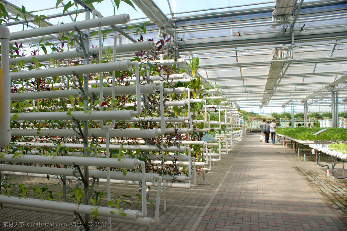 生态大棚 生态园区 生态餐厅 生态园 生态 绿色 餐桌 植物 蔬菜 餐厅 旅游 风光 风景 人文景观 旅游摄影 田园风光 自然景观