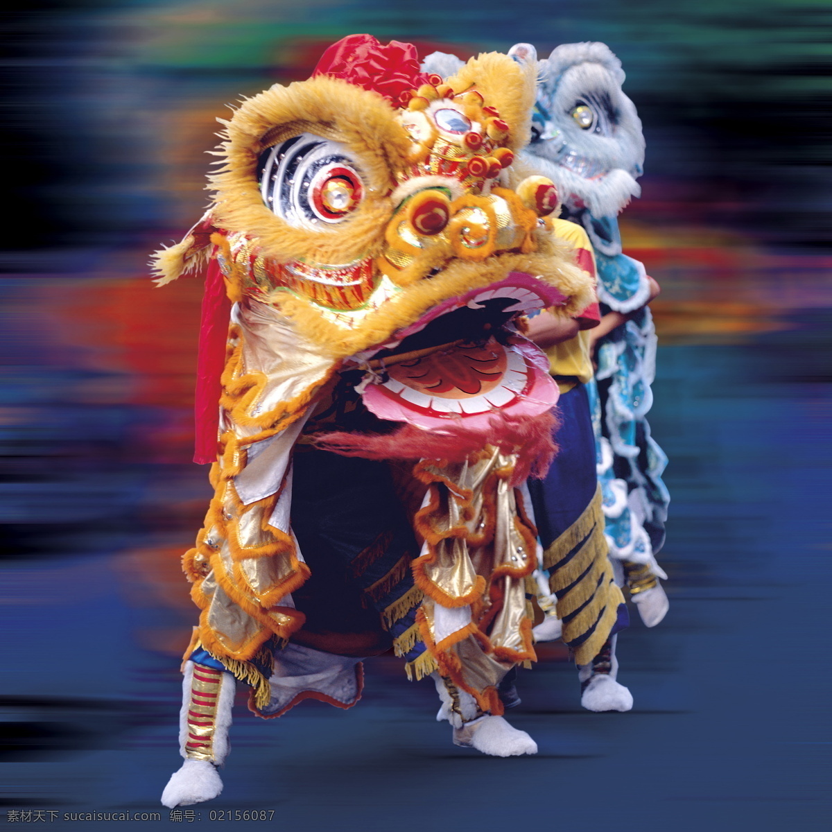 舞龙 中国风 传统节目 节庆 吉祥寓意 龙飞凤舞 传统技艺 传统文化 文化艺术 节日庆祝
