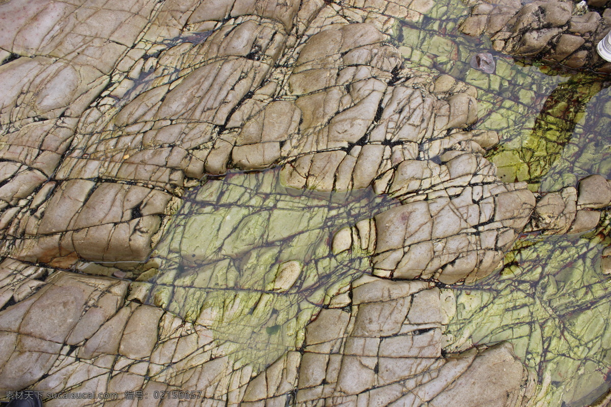 长岛 海边 绿 纹 苔藓 岩石 大海 海上 风景 旅游摄影 国内旅游 灰色