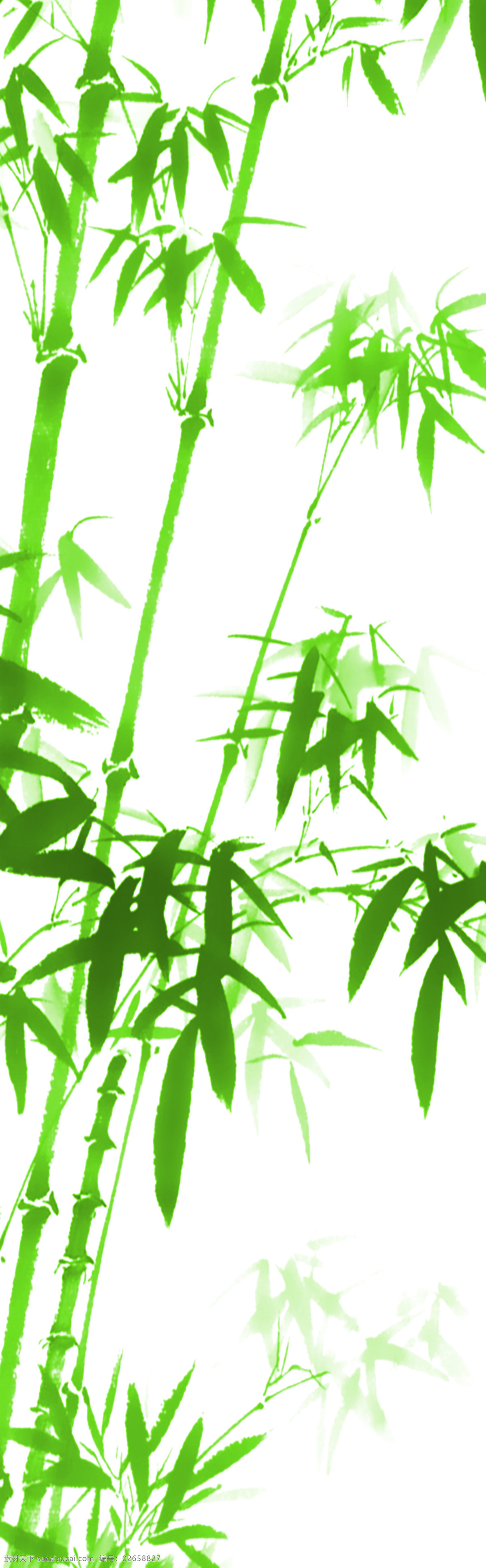 竹子 种类 竹子的种类 风景 生活 旅游餐饮