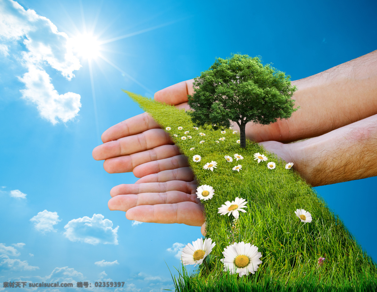 绿色环保 素材图片 绿色 风景 草坪 绿树 花 手 环保素材 白云 太阳光 绿叶 环保 环保图片 风景图片