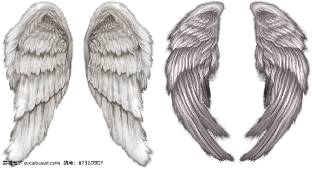 白色 天使 翅膀 分层 文件 源文件 psd源文件 图案 翼 羽毛
