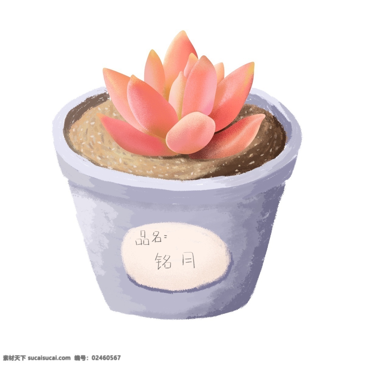 手绘 噪 点 小 清新 盆栽 肉 植物 元素 插画 手绘植物 手绘盆栽 植物元素 盆栽元素 多肉元素 手绘多肉
