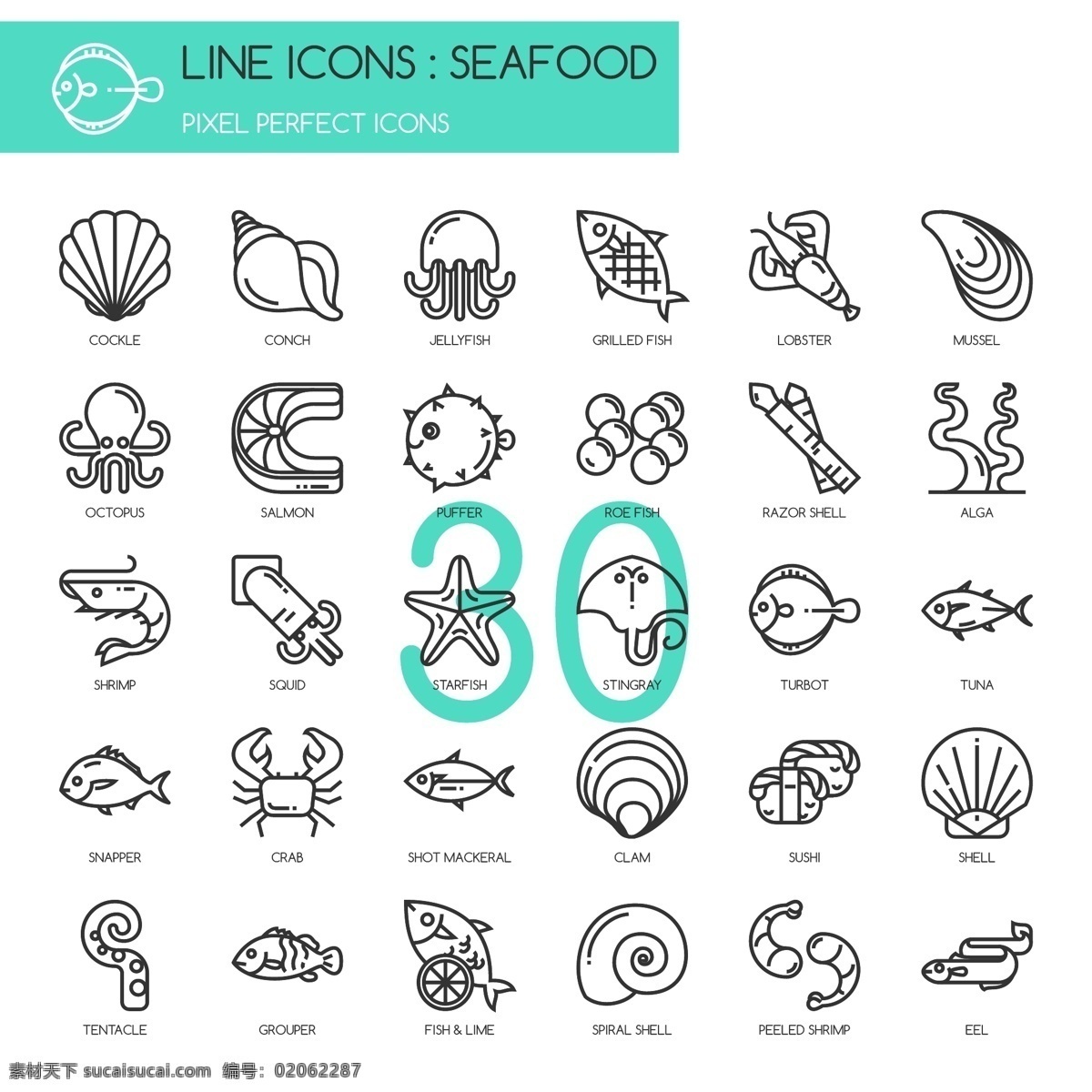 线条 手绘 海洋 用品 图标 插画 元素 海螺 海星