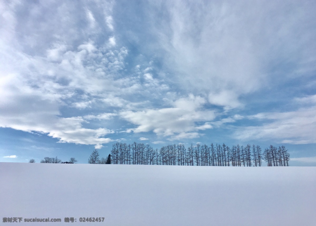 日本美瑛 雪景 日本北 海道 美瑛 树林 山丘 冬季 雪天 冬天 风景 自然景观 自然风景