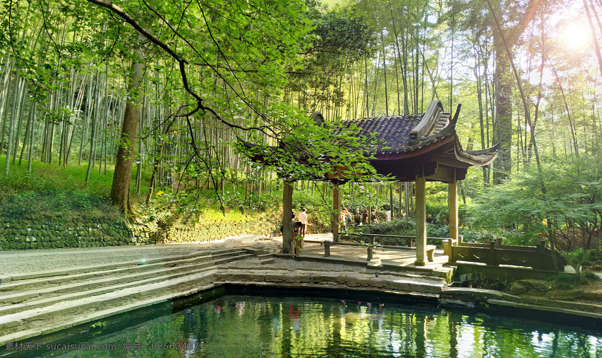 云栖 风景区 竹林 山涧 树木 阳光 初秋 自然景观 山水风景