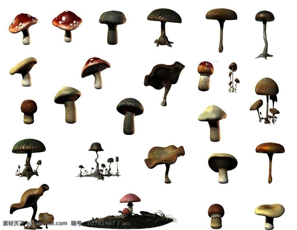 蘑菇 分层 植物素材 蘑菇群 野生蘑菇 菌类 野生菌 菌子 蘑菇分层素材 psd素材 集 源文件
