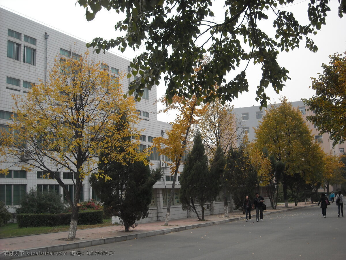 吉林大学 校园 建筑 秋色 落叶 国内旅游 旅游摄影