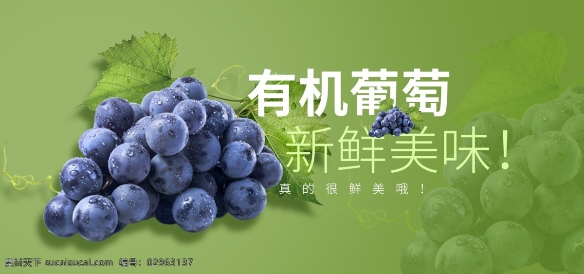 电商 淘宝 有机 葡萄 海报 果蔬生鲜海报 葡萄海报 水果海报 生鲜水果 有机葡萄
