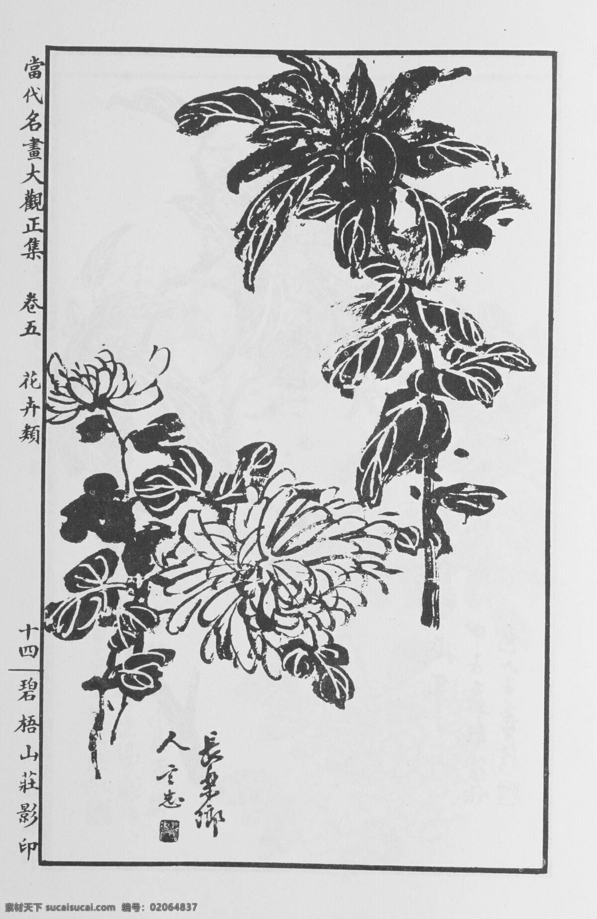 花卉画 中国画 当代 名画 大观 正 集 设计素材 花鸟画篇 中国画篇 书画美术 白色