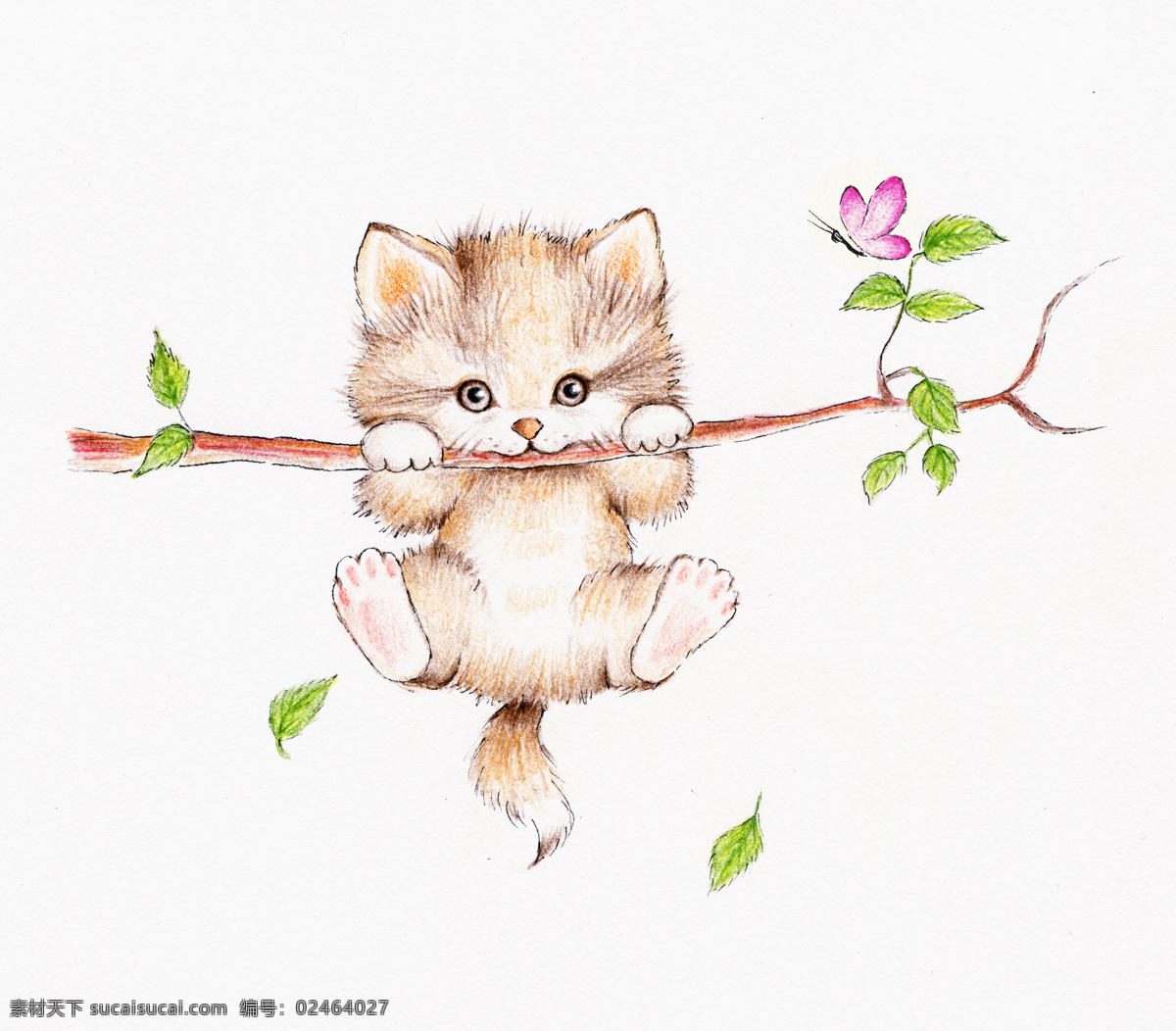 树枝 上 小猫 插画 小猫插画 小猫插图 猫咪 可爱小猫 动物插画 动物漫画 其他类别 生活百科 白色