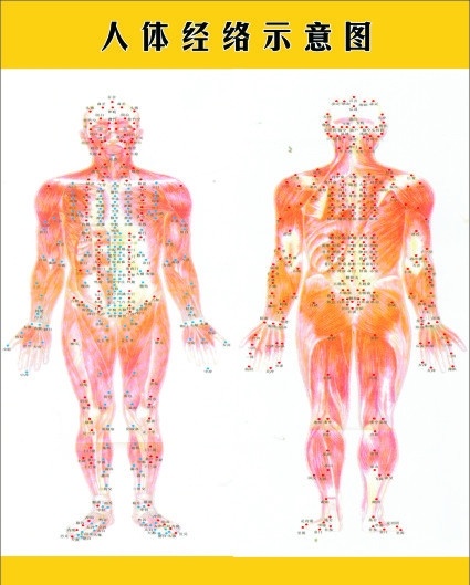 人体经络图 人体经络 穴位 人体图 中医 经脉 示意图 矢量素材 矢量