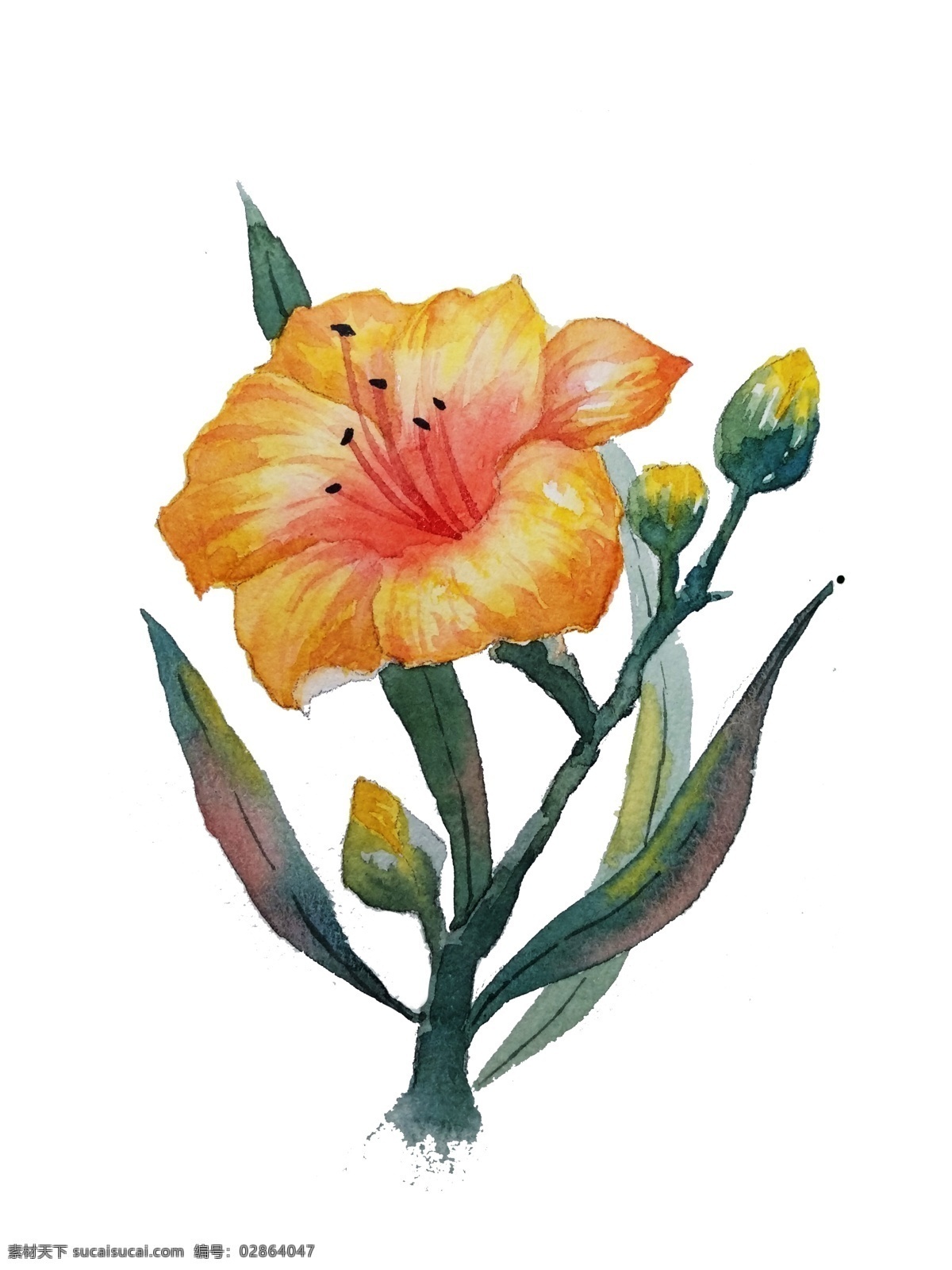 手绘 花朵 小清 新手 绘 花 草 水彩 手绘花朵 小清新 手绘花 手绘草 水彩花 森系 矢量 绿叶 鲜花