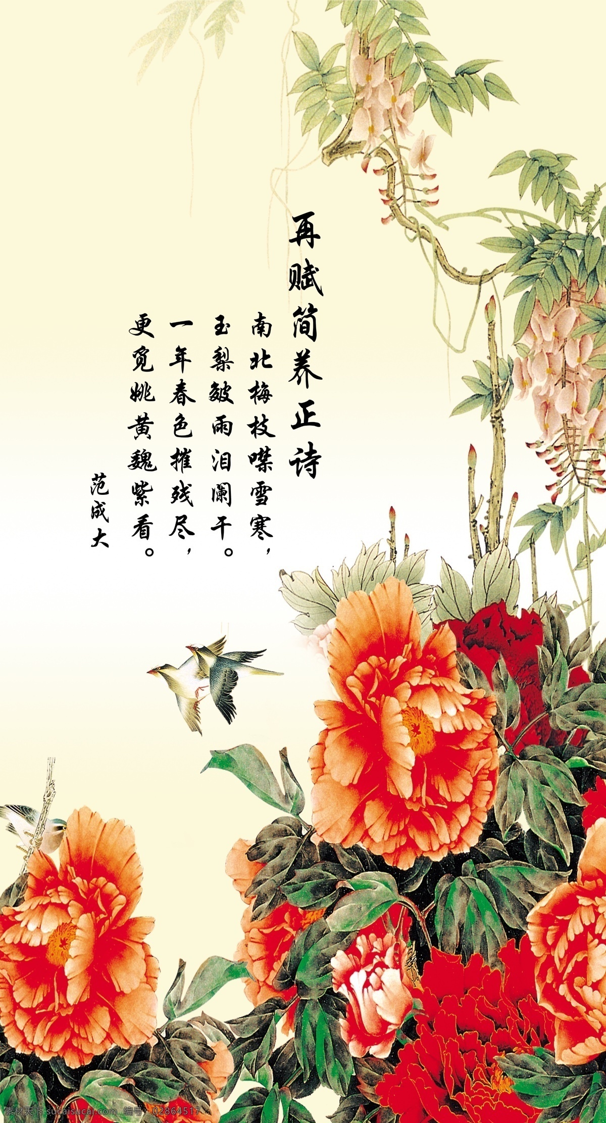 牡丹花 牡丹 牡丹鲜花 牡丹诗文 牡丹展板 牡丹展架