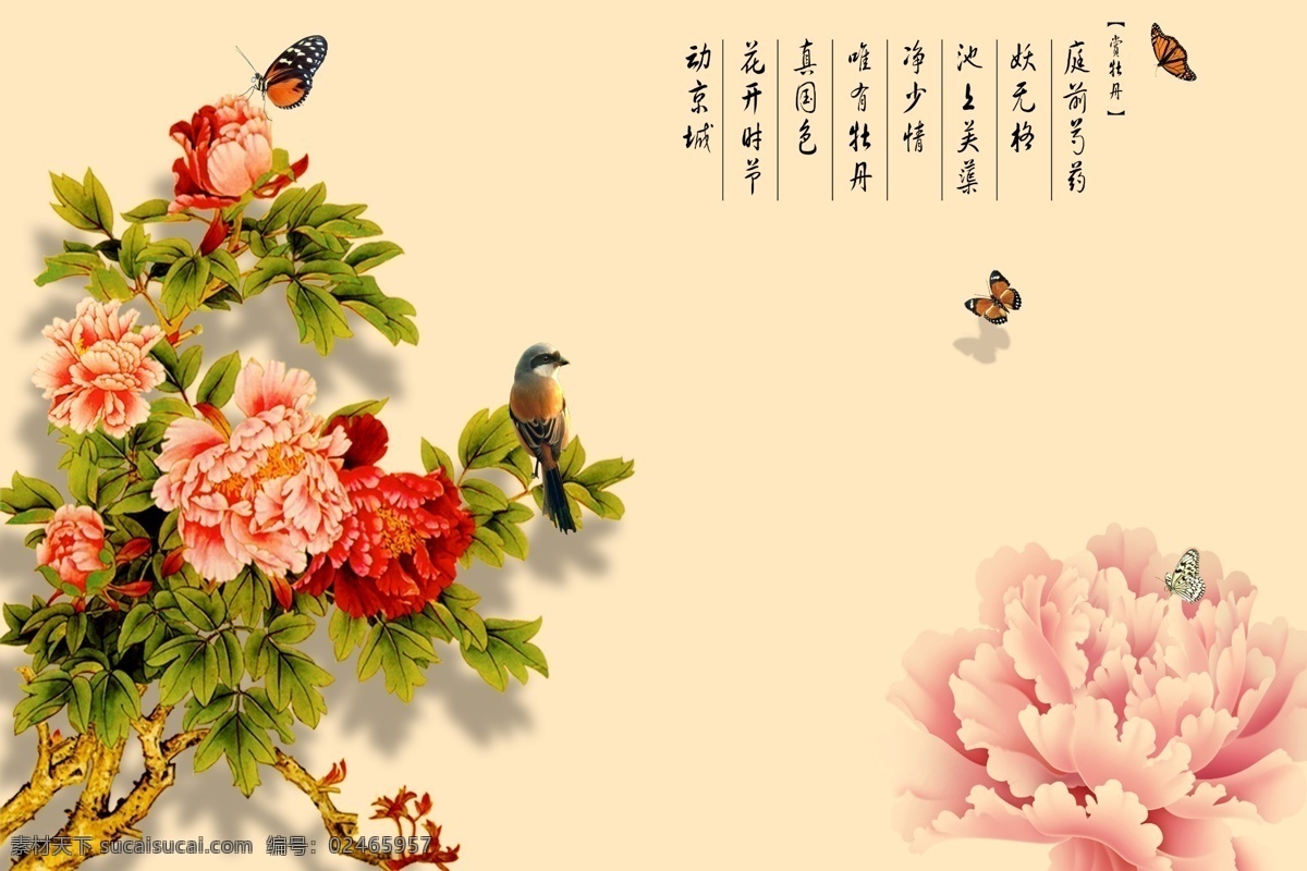 富贵 牡丹 背景 墙 中国风 中式 传统 经典 古典 背景墙 瓷砖 牡丹花 诗词 中国画 国画 电视背景墙