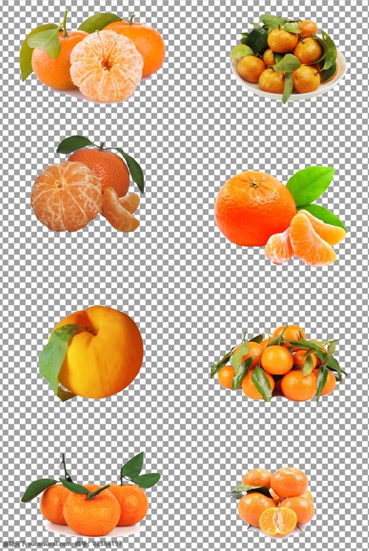 砂糖橘图片 水果 新鲜 砂糖橘 桔子 免抠 无背景 免抠图 抠图 元素 透明 通道 png免抠图 分层