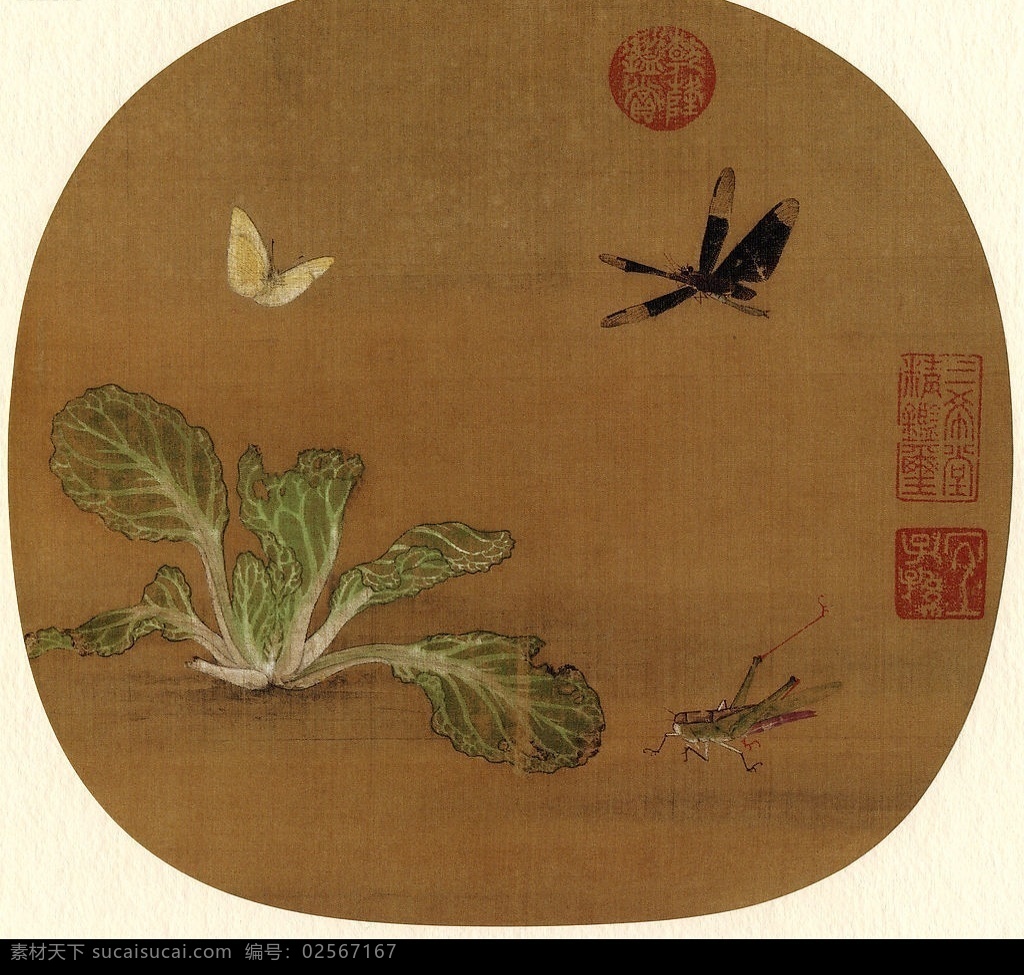野蔬草虫图 許迪 野蔬草蟲圖 台北 故宫博物院 文化艺术 美术绘画 摄影图库 200