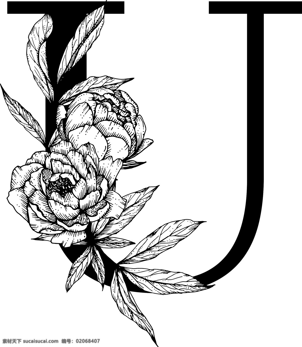 字母图片 花朵装饰字母 英文 字母 字体 花朵 鲜花 黑白 线描 素描 白描 创意设计 设计素材 矢量图 矢量素材 标识 生活百科 学习用品