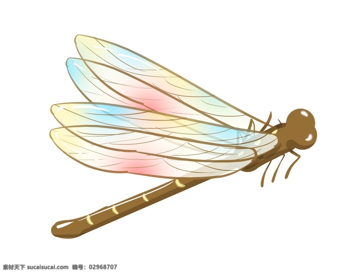 彩色昆虫蜻蜓 夏季 飞行 蜻蜓