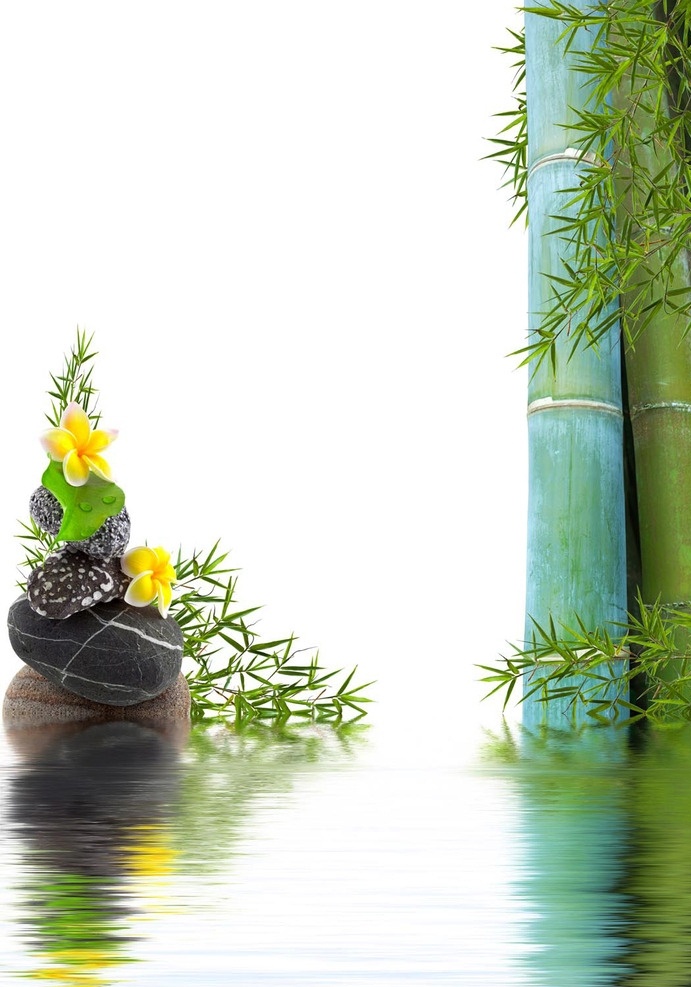 竹子鹅卵石 竹子 鹅卵石 竹叶 花 水 海水 自然景观 自然风光