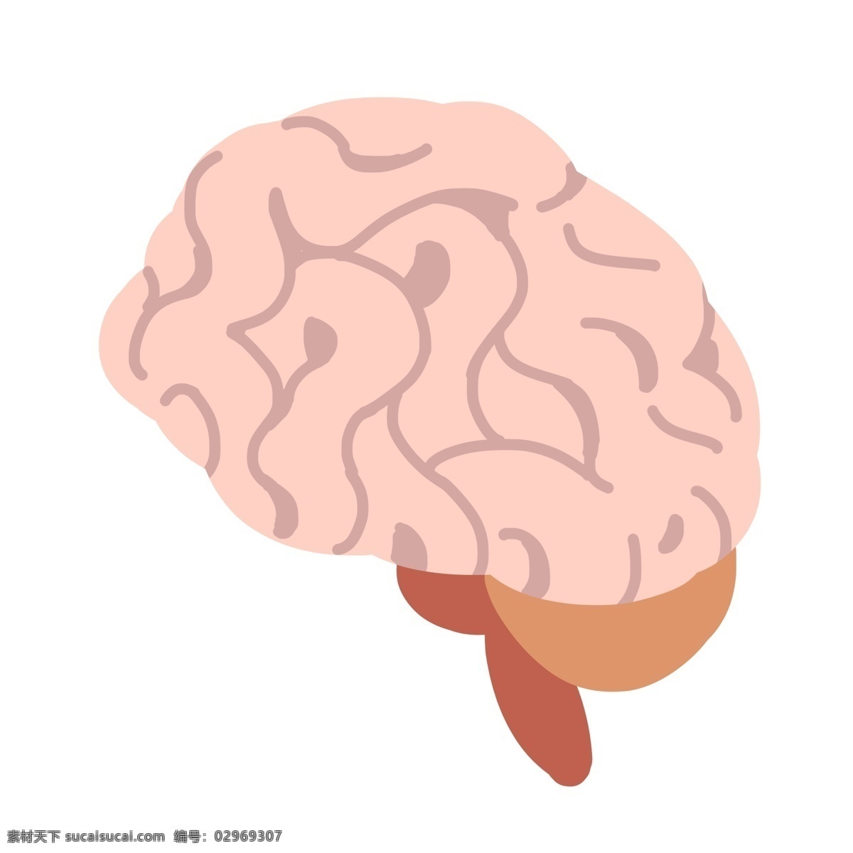 卡通 人体 大脑 插画 人体大脑 肉色的大脑 健康的大脑 脑子 人体器官 身体器官 卡通大脑插画